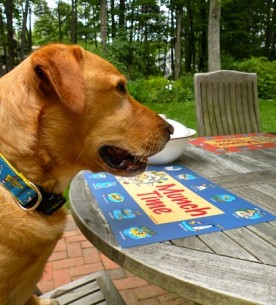 Munch-Time Maine Dog Placemat – (Ocean Blue)